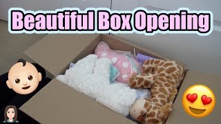 Beautiful Reborn Baby Box Opening Its Twins  Kelli Maple [upl. by Enelrihs]