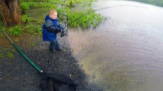 Carp fishing tips and techniques  New carp bait  How to catch carp in a lake or pond [upl. by Nymzaj264]