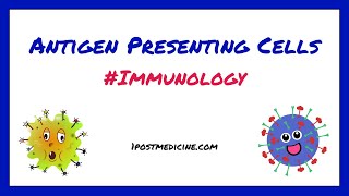 Antigen Presenting Cells  Immunology [upl. by Sucramel]