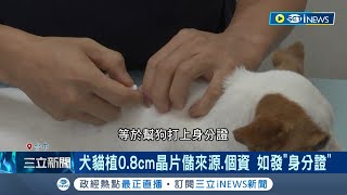 毛主人注意了 犬貓植08cm晶片儲quot來源個資quot 如發身分證 若飼主未幫貓狗植晶片 動保處最高罰1萬5千│記者 謝昀蓁 林韋志│【台灣要聞】20230623│三立iNEWS [upl. by Leahcin]