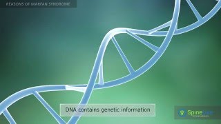 Marfan Syndrome Reasons [upl. by Tamas]