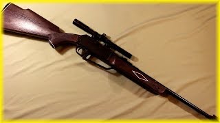 Daisy 880 Powerline Air Rifle Review [upl. by Kellyann]