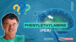 Your Brain On Phenylalanine [upl. by Simpkins341]