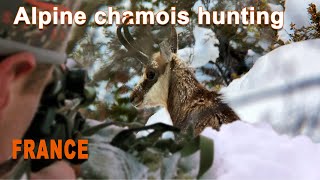 Alpine Chamois Hunting in France  Chasse au Chamois en France  2021 [upl. by Nosyaj]