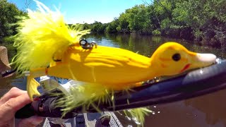 Fishing A Duck Lure For MONSTER Pike [upl. by Noelani]