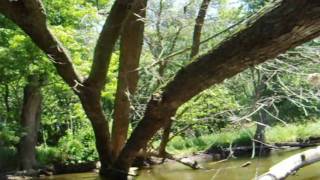 Protecting mussels on Tippecanoe River [upl. by Kaazi700]