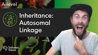 Inheritance Autosomal Linkage  A Level Biology Revision [upl. by Aidaas]