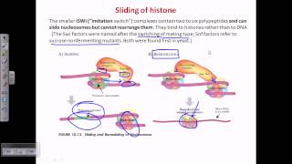 ATP dependent chromatin remodelling [upl. by Direj968]