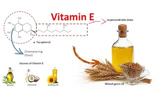 Vitamin E  Source function and deficiency [upl. by Urana]