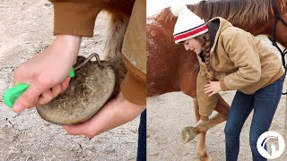 How To Clean A Horses Hooves The Easy Way [upl. by Mik730]