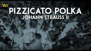 Johann Strauss II Pizzicato Polka [upl. by Dorthy934]