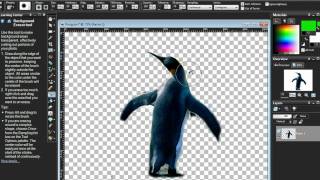 How to use paintshop pro combining pictures [upl. by Olemrac]