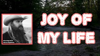 Chris Stapleton  Joy of My Life Lyrics [upl. by Fransen]