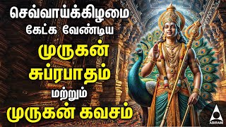 Tuesday Murugan Powerful Bakthi Padalgal  Murugan Devotional Songs [upl. by Fabrienne496]