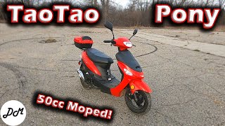 2018 Taotao Pony 50cc Moped – Ownership Update [upl. by Arundell]