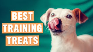 4 easy DOG TREAT recipes  NO FLOUR NO PEANUT BUTTER [upl. by Atiseret]