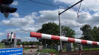 Spoorwegovergang Wezep  Dutch Railroad Crossing [upl. by Hacissej]