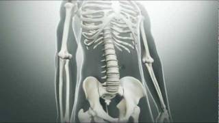 Ankylosing Spondylitis Symptoms [upl. by Diarmid]