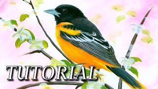 How to paint a realistic bird with Acrylic [upl. by Jarin]