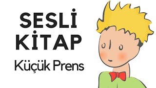 Küçük Prens Sesli Kitap Dinle Oku Tek Parça Masal Abbas Tekin [upl. by Ilse]