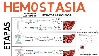 Hemostasia Coagulação do Sangue [upl. by Shelton300]