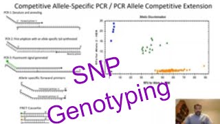 SNP genotyping Plants Competitive AlleleSpecific PCR Genotyping [upl. by Nanek627]