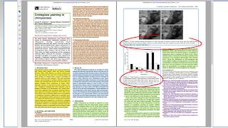 The Structure of Scientific Research Papers [upl. by Nalat]