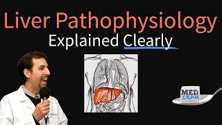 Liver Explained Clearly  Pathophysiology LFTs Hepatic Diseases [upl. by Deth365]