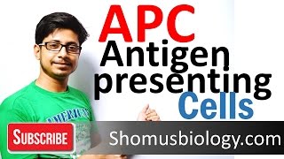 Antigen presenting cells APC [upl. by Key]