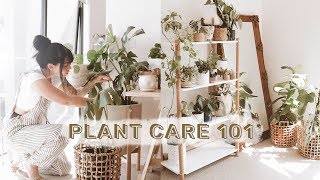 How To Care For Indoor Plants  GREENIFY YOUR SPACE [upl. by Madison]