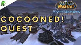 Wotlk Classic Cocooned [upl. by Nnylg883]