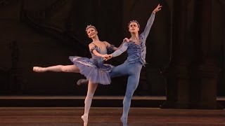 The Sleeping Beauty  Bluebird and Princess Florine pas de deux The Royal Ballet [upl. by Yeleen]