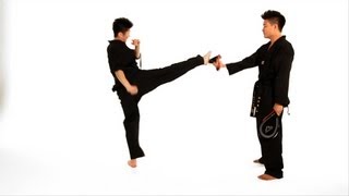 How to Do a Roundhouse Kick  Taekwondo Training [upl. by Leonerd]