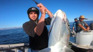 Fishing Baja California  CRAZY YELLOWTAIL FISHING [upl. by Hsakiv453]