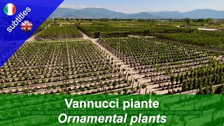 Vannucci Piante Innovazione per la produzione sostenibile di piante ornamentali english subtiles [upl. by Norret756]