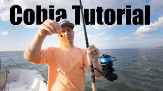 How to Catch Cobia Full Tutorial  Live Bait Eels and Bucktails [upl. by Ellehcin]