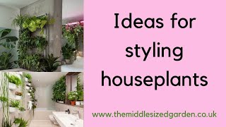 Ideas and tips for styling houseplants [upl. by Beauchamp358]