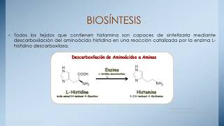 Histamina y Antihistaminicos [upl. by Japeth]