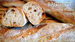 BAGUETTE con Lievito Madre [upl. by Aruon]