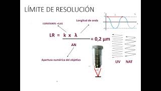 Microscopía Magnificación poder y límite de resolución [upl. by Valaria276]