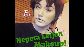 Nepeta Leijon Makeup Tutorial Homestuck Cosplay [upl. by Lesoj891]