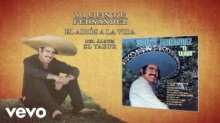 Vicente Fernández  El Adiós a la Vida Cover Audio [upl. by Ahsakal]