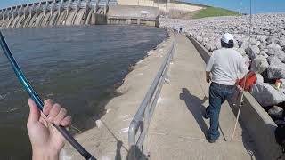 First 5 casts striper fishing below Keystone Dam Oklahoma [upl. by Barmen]