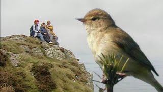 A la découverte des oiseaux migrateurs [upl. by Stinson]