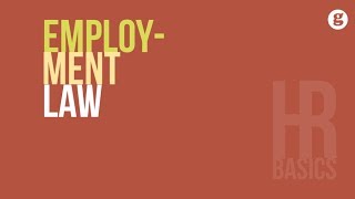 HR Basics Employment Law [upl. by Elraet]