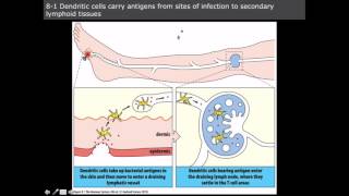 Why do dendrites form in metal alloys [upl. by Charmane58]