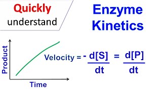 Enzyme kinetics [upl. by Refinaj]