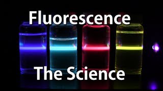 How Fluorescence Works  The Science [upl. by Reh]