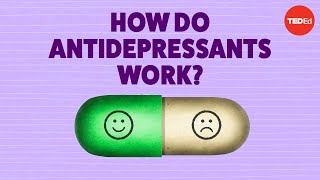 How do antidepressants work  Neil R Jeyasingam [upl. by Nylinej]