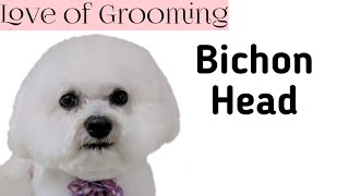 Bichon Head Grooming [upl. by Eadith938]